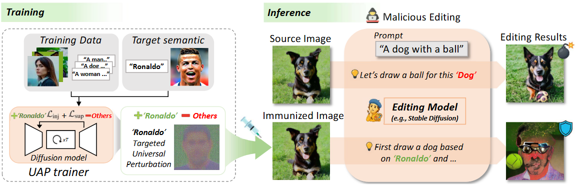 Target semantic injection framework for universal image immunization